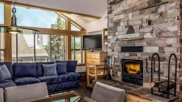 TV, fireplace, DVD player, books