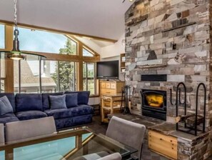 TV, fireplace, DVD player, books
