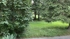 A wooden deck leading to a grassy area with trees and a paved path. - Wohnung in Idyllischem Örtchen (Meschede)