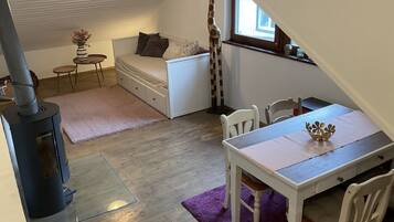 TV, fireplace, video games, DVD player