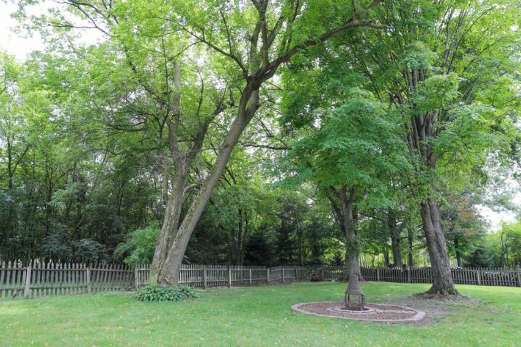 Un parque con árboles maduros, un banco de piedra circular y una valla de madera.
