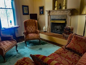 TV, fireplace, books