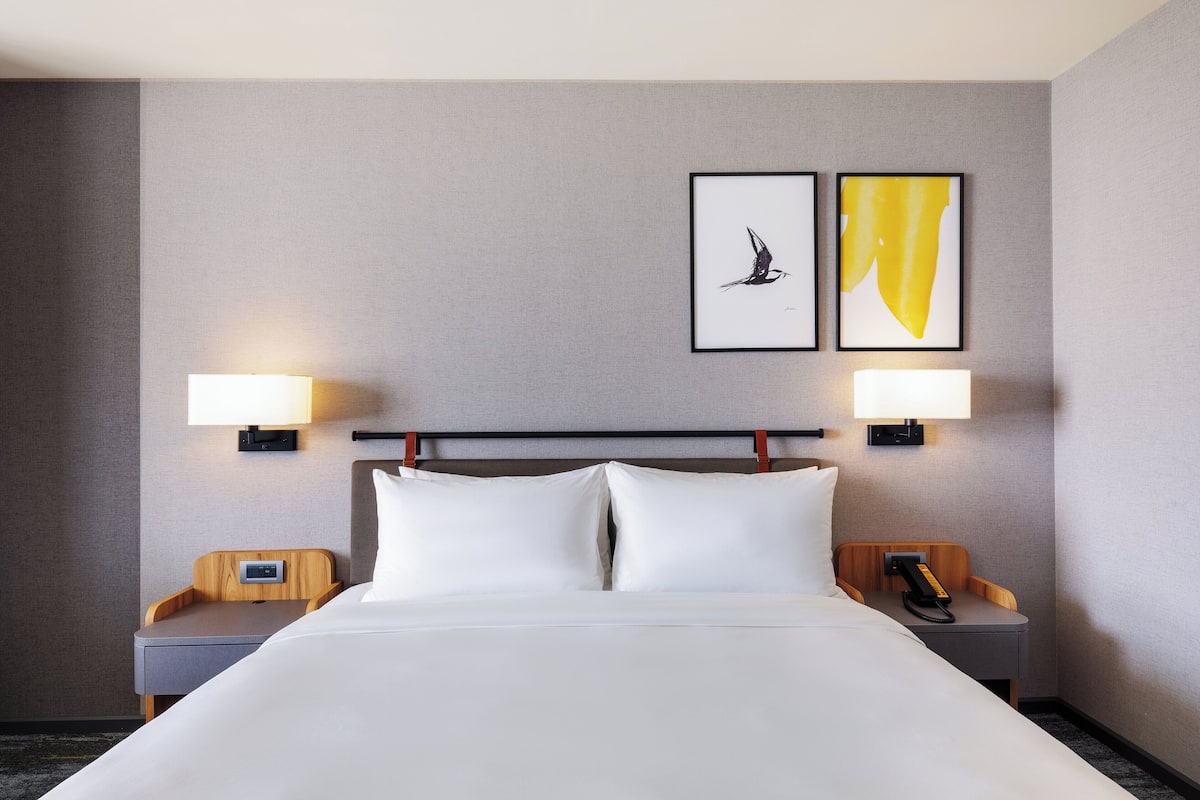 Standard Room, 1 King Bed | 1 bedroom, hypo-allergenic bedding, minibar, in-room safe