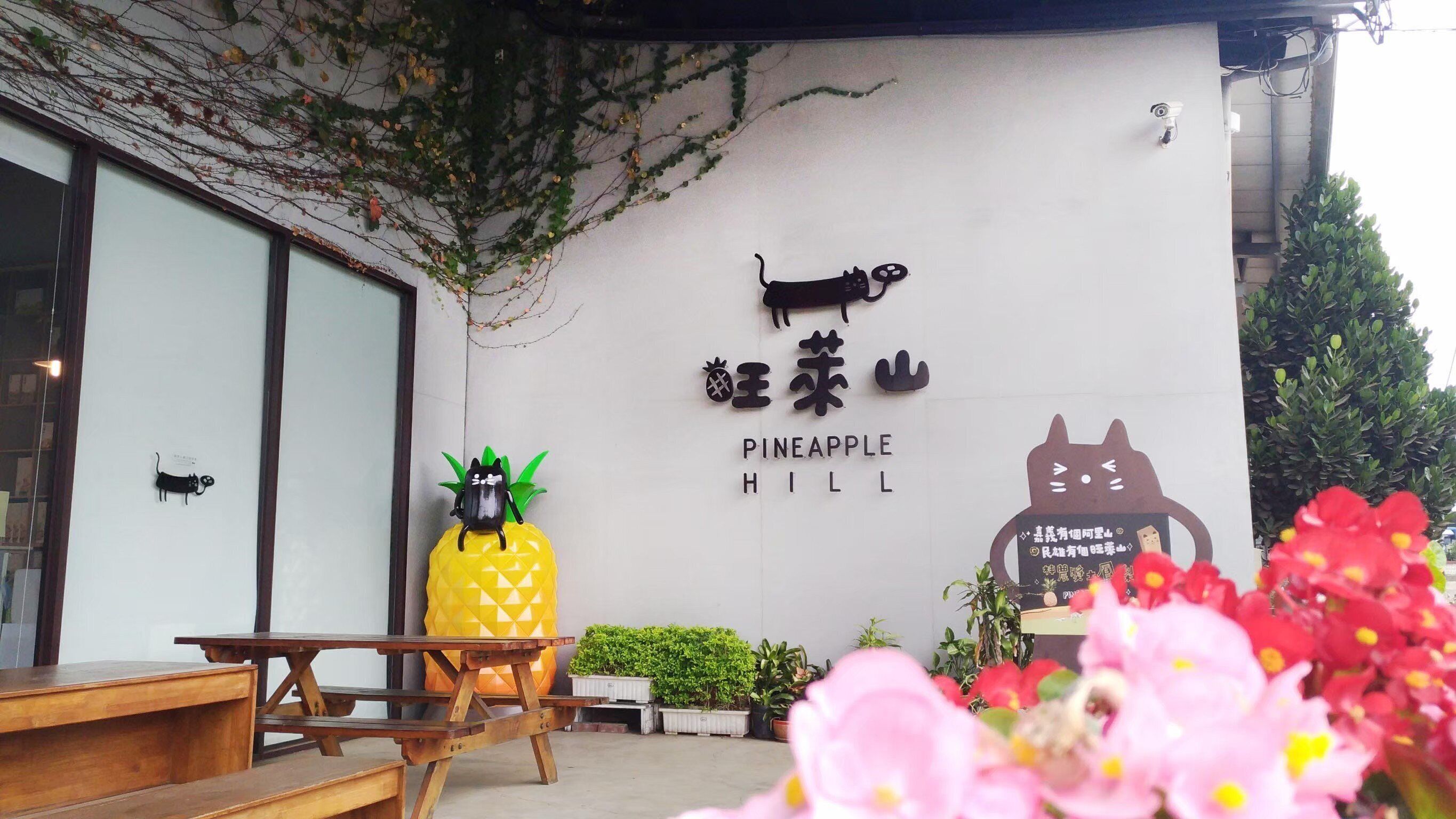 A restaurant named 'Pineapple Hill' with a pineapple decoration and a cat silhouette on the wall.