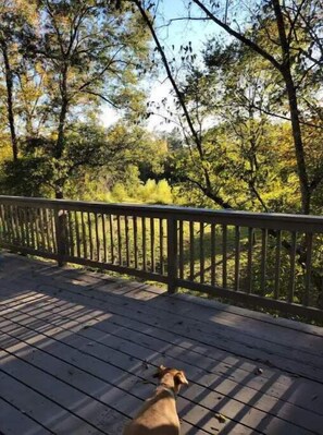 Property grounds - Guest House with Private Beach! (Spring)