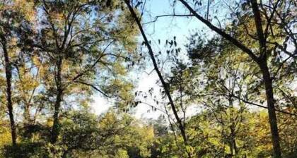 Guest House with Private Beach!