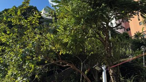 A building with a modern design, surrounded by lush greenery and a clear blue sky.