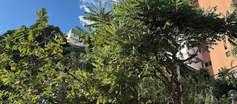 Apartamento perto de tudo em condomínio