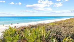 Una spiaggia con acque cristalline blu, sabbia bianca e vegetazione rada in primo piano.