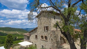 Exterior - MyExclusiveItaly - Villa Chianti with panoramic pool on the vineyard (Greve in Chianti)