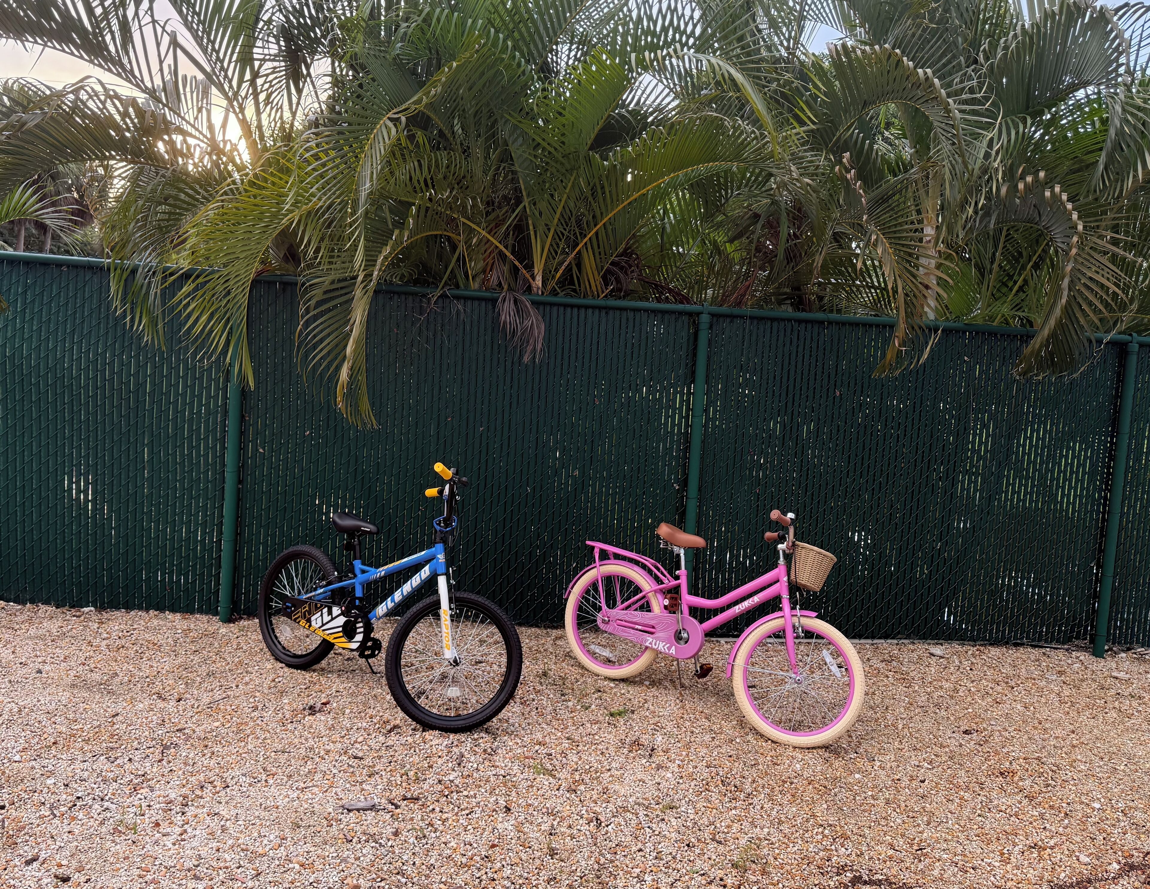 Dos bicicletas aparcadas sobre grava, con una valla verde y palmeras al fondo.