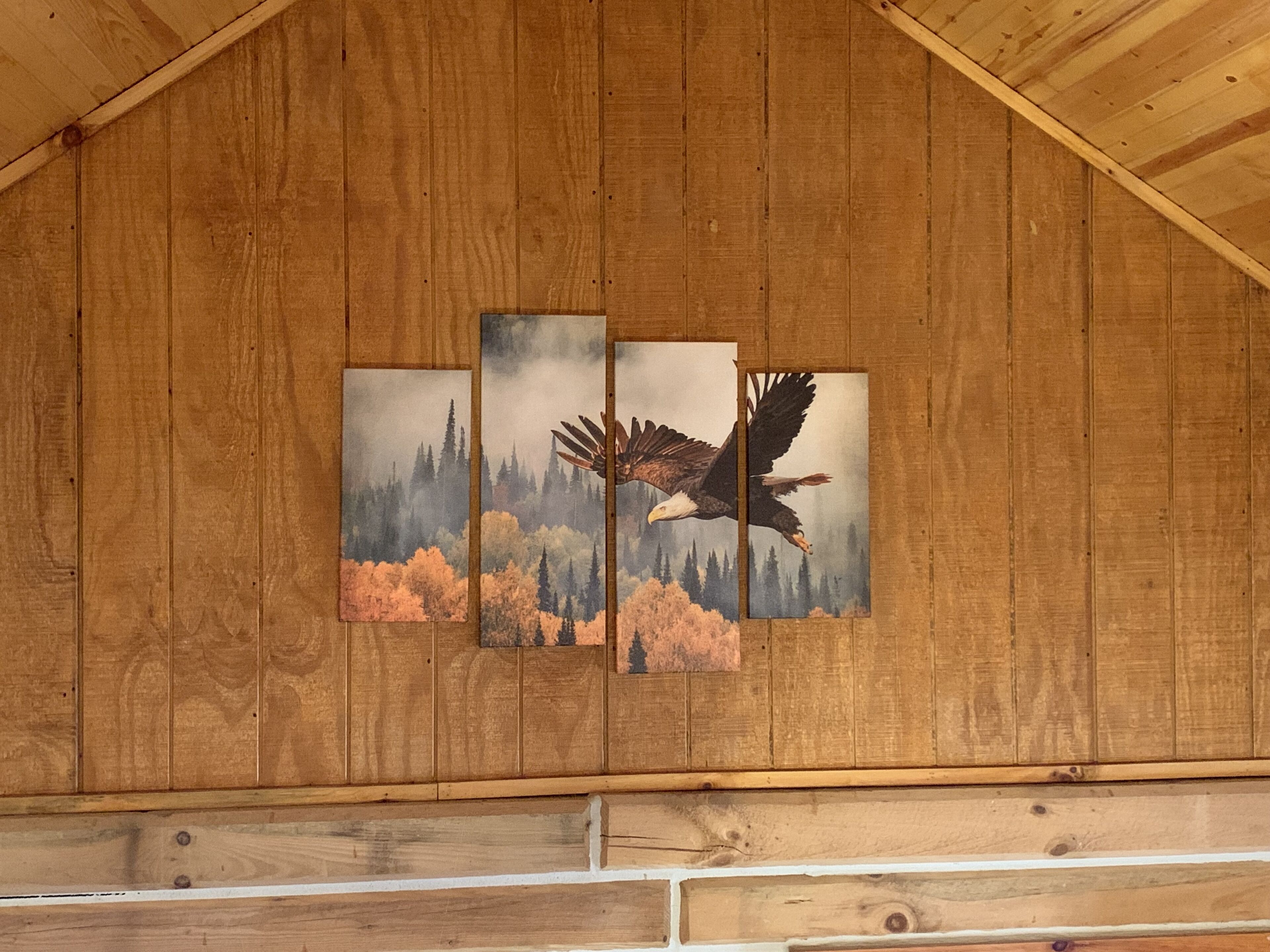 Una pared de madera con tres cuadros enmarcados de un águila volando.