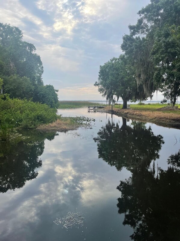 Un lac paisible où se reflètent les arbres et le ciel, entouré d’une végétation luxuriante.