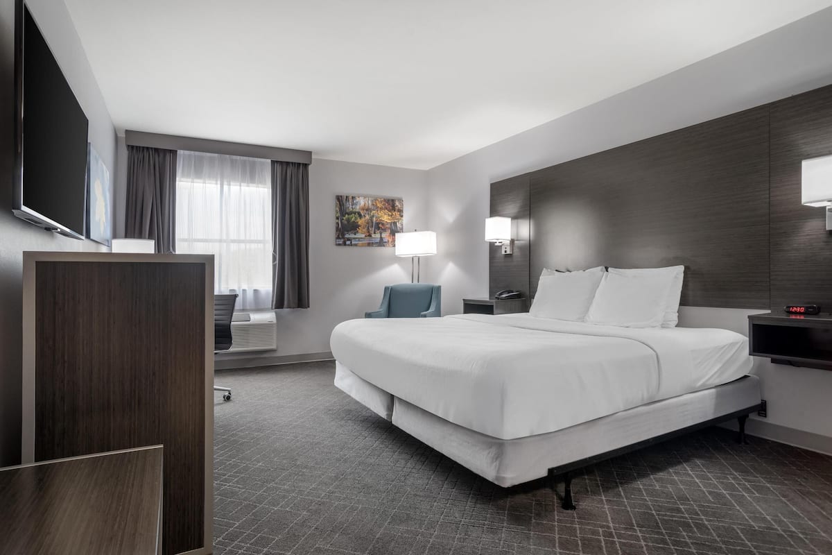 Una habitación de hotel moderna con una cama grande, un televisor de pantalla plana, un escritorio con lámpara y un cuadro en la pared.