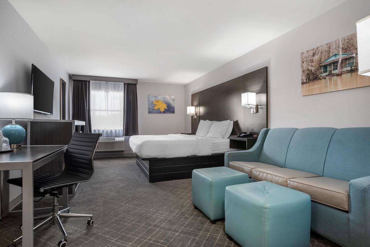 Una habitación de hotel con cama, escritorio, sillón y televisor.