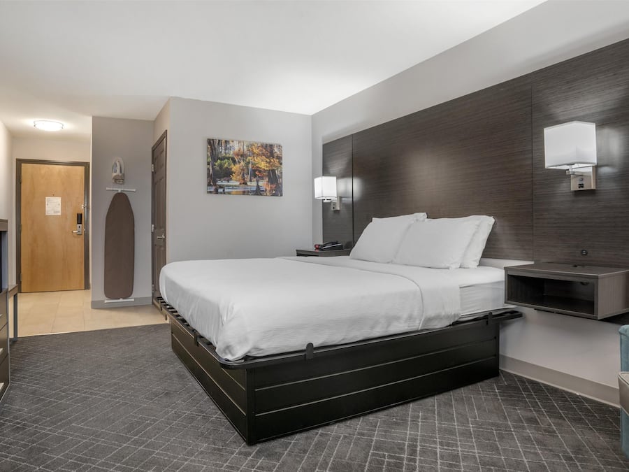 Standard Room, 1 King Bed, Non Smoking, Refrigerator & Microwave | Premium bedding, desk, laptop workspace, soundproofing