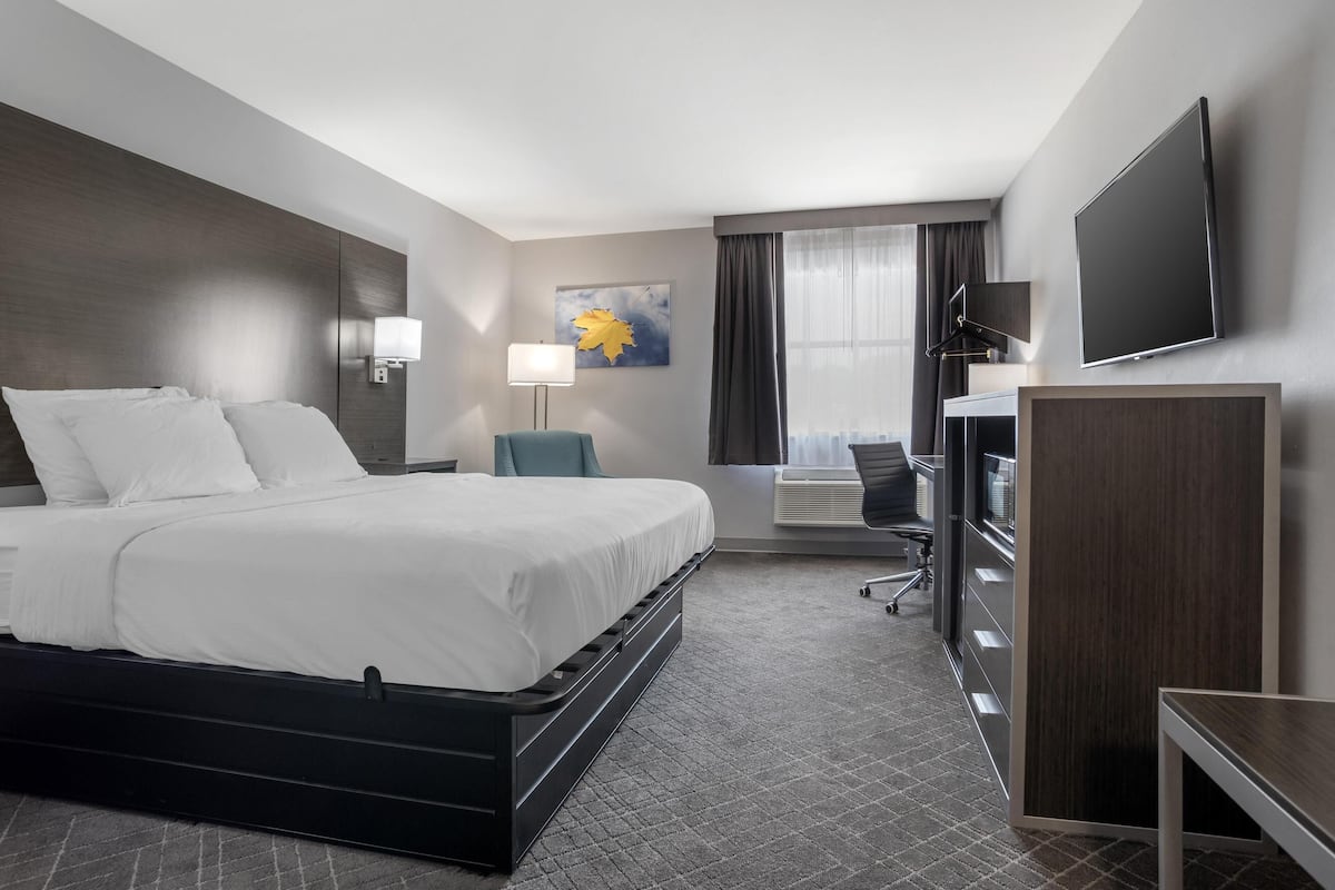 Habitación de hotel moderna con una cama grande, un escritorio con silla, un televisor de pantalla plana y un televisor montado en la pared.