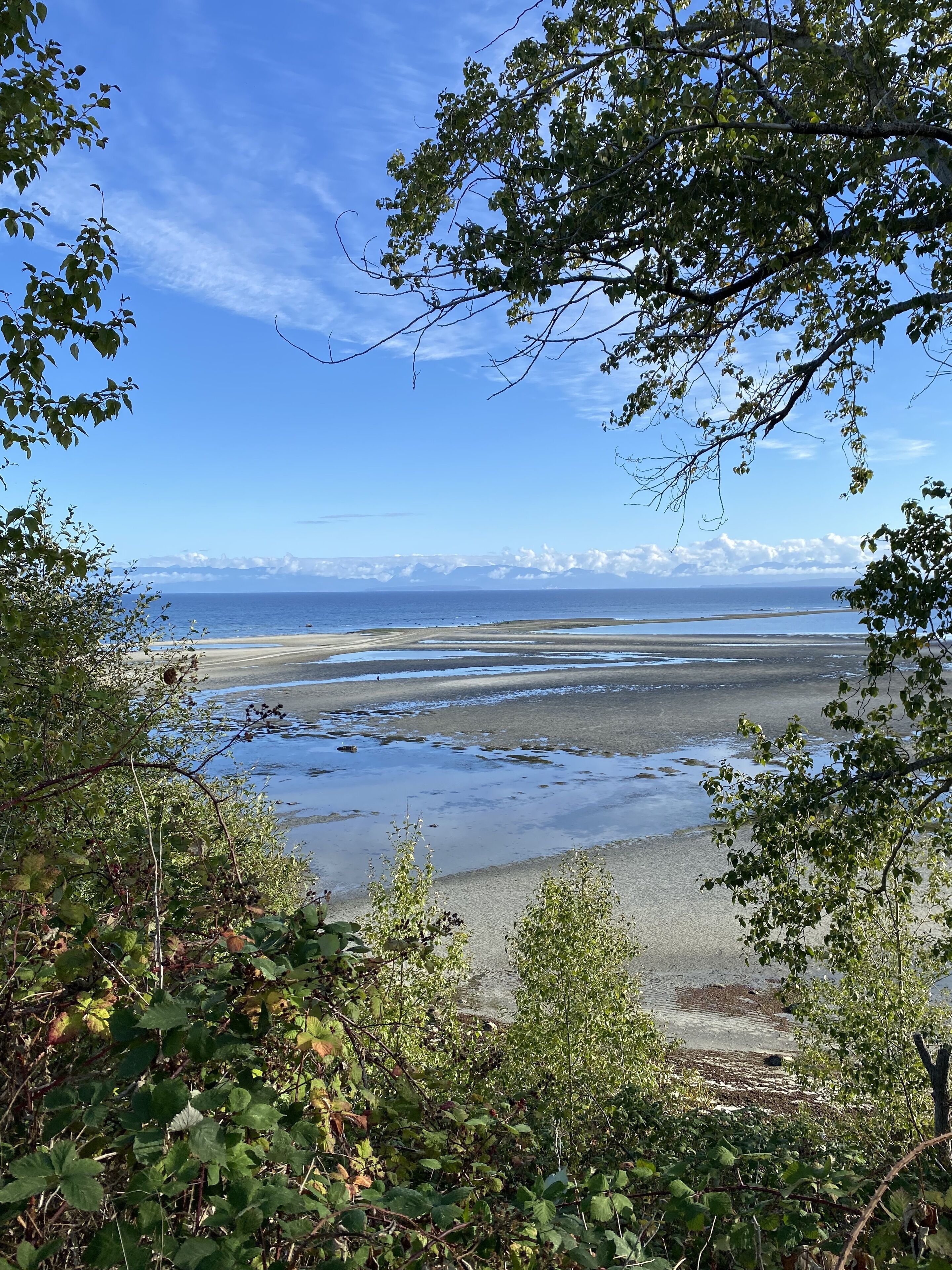 Una spiaggia nelle vicinanze, lettini da mare