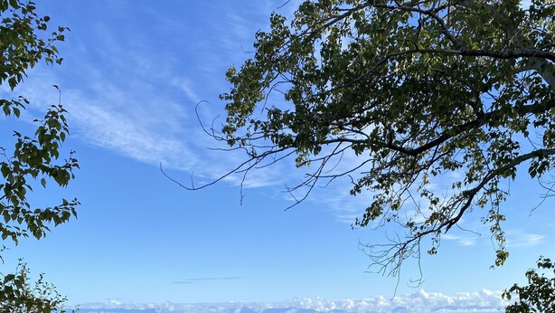 Un paysage côtier avec une plage, de la végétation et des montagnes à l’horizon.