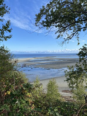 A coastal landscape with a beach, vegetation, and distant mountains. - Welcome Kye Bay Nest at  the beach - relax, restore, and explore. H820823952 (Comox)