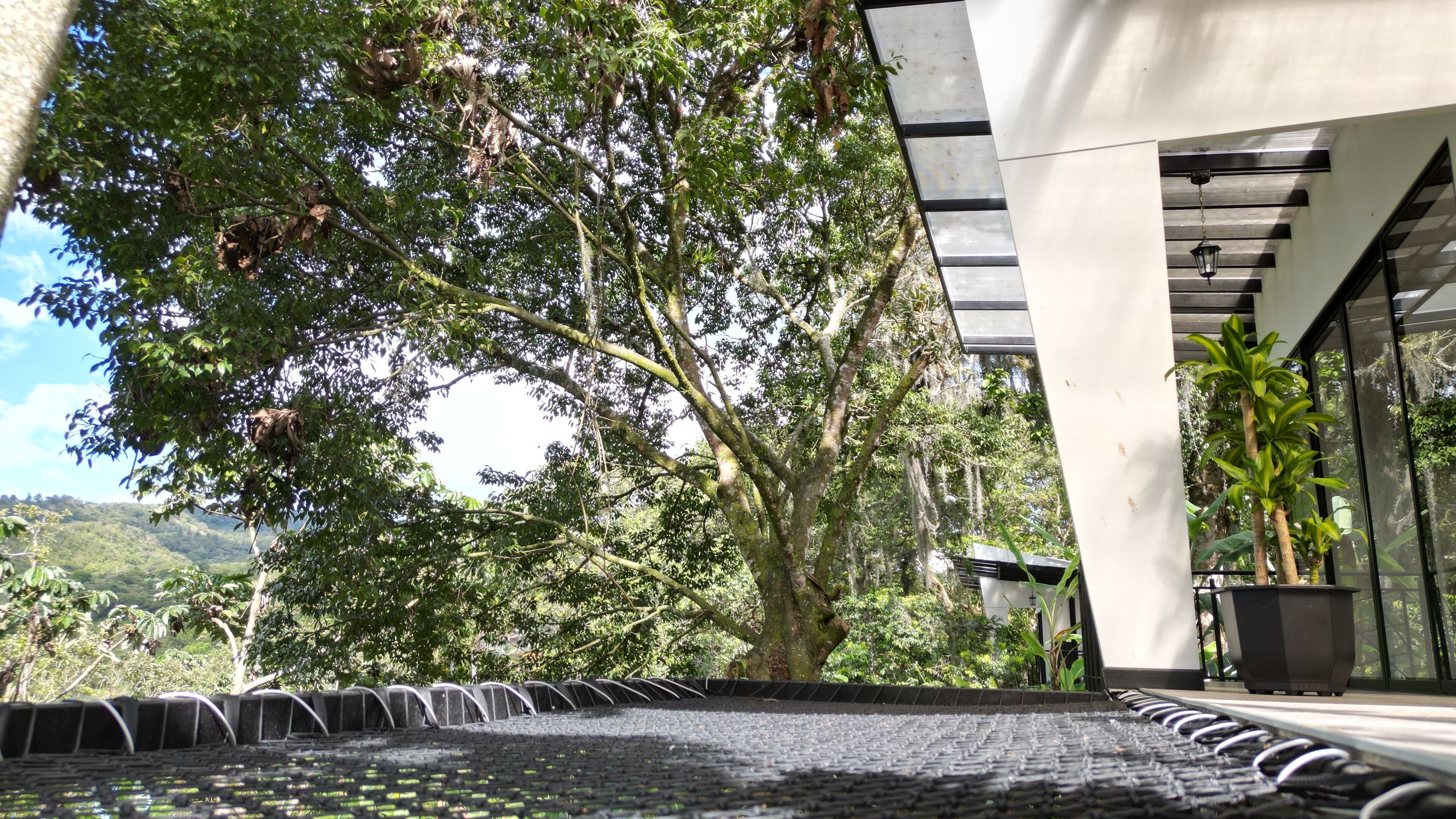 A modern building with a glass facade, surrounded by lush greenery and trees.