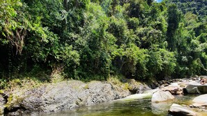 A clear river with rocks and trees in the background. - Pradera Ecoliving (Betania)