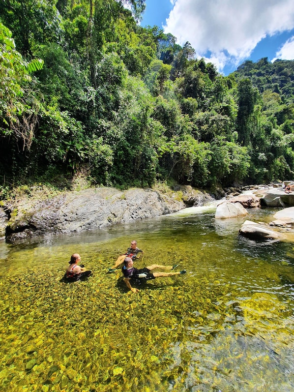 A clear river with rocks and trees in the background.