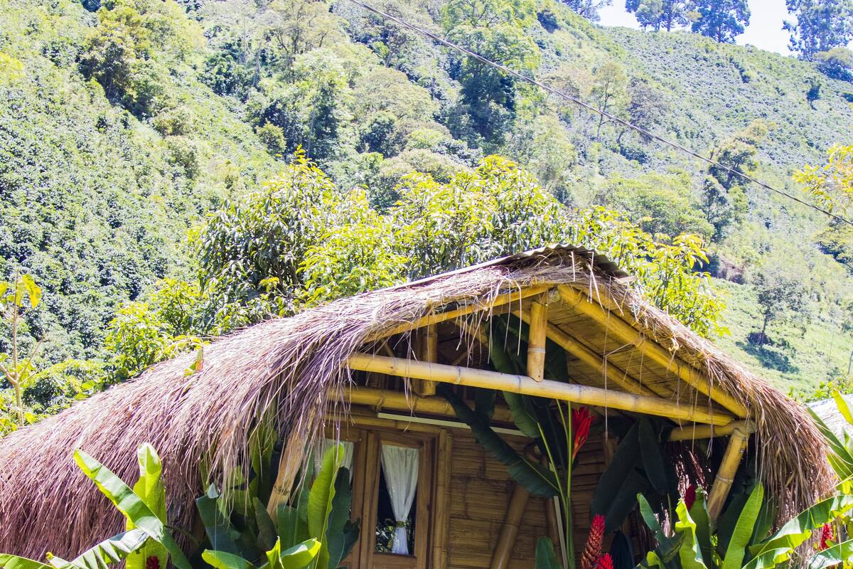 Una cabaña con techo de paja, una puerta de madera y escalones que conducen a ella, rodeada de vegetación exuberante y un paisaje montañoso.