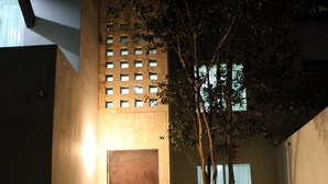 A modern building with a wooden door, a small garden with a tree, and a window with curtains. - Casa Blanca Oaxaca (Oaxaca)