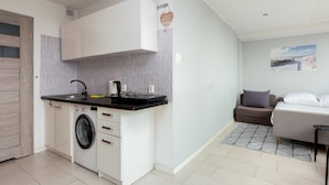 A compact living space with a kitchenette, a washing machine, a sofa, and a bed.