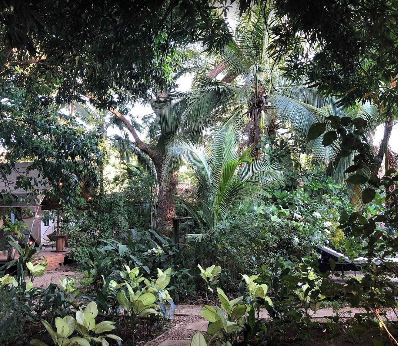 Pemandangan taman