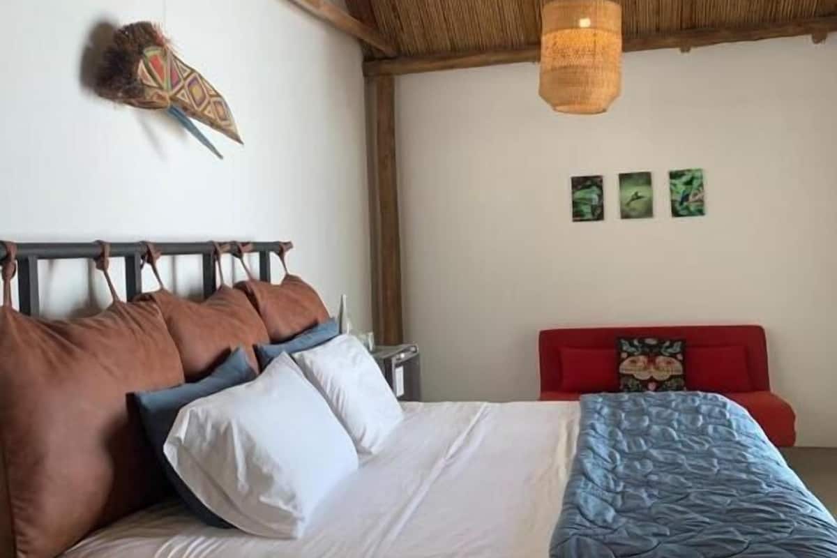 Junior kamer | 1 slaapkamer, gratis wifi, beddengoed