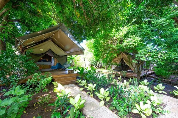 A secluded campsite with two tents, surrounded by lush greenery and a well-maintained garden. - Curiol Boutique Hotel & Lounge (Tempate)