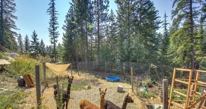 Lakeside Retreat With Hot Tub, Amazing Views, And An Animal Sanctuary!