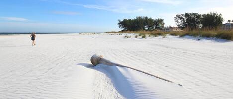 Playa en los alrededores