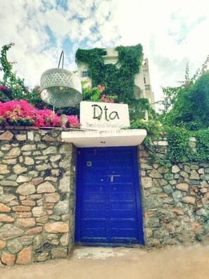 Exterior - Dia homestay (Pushkar)