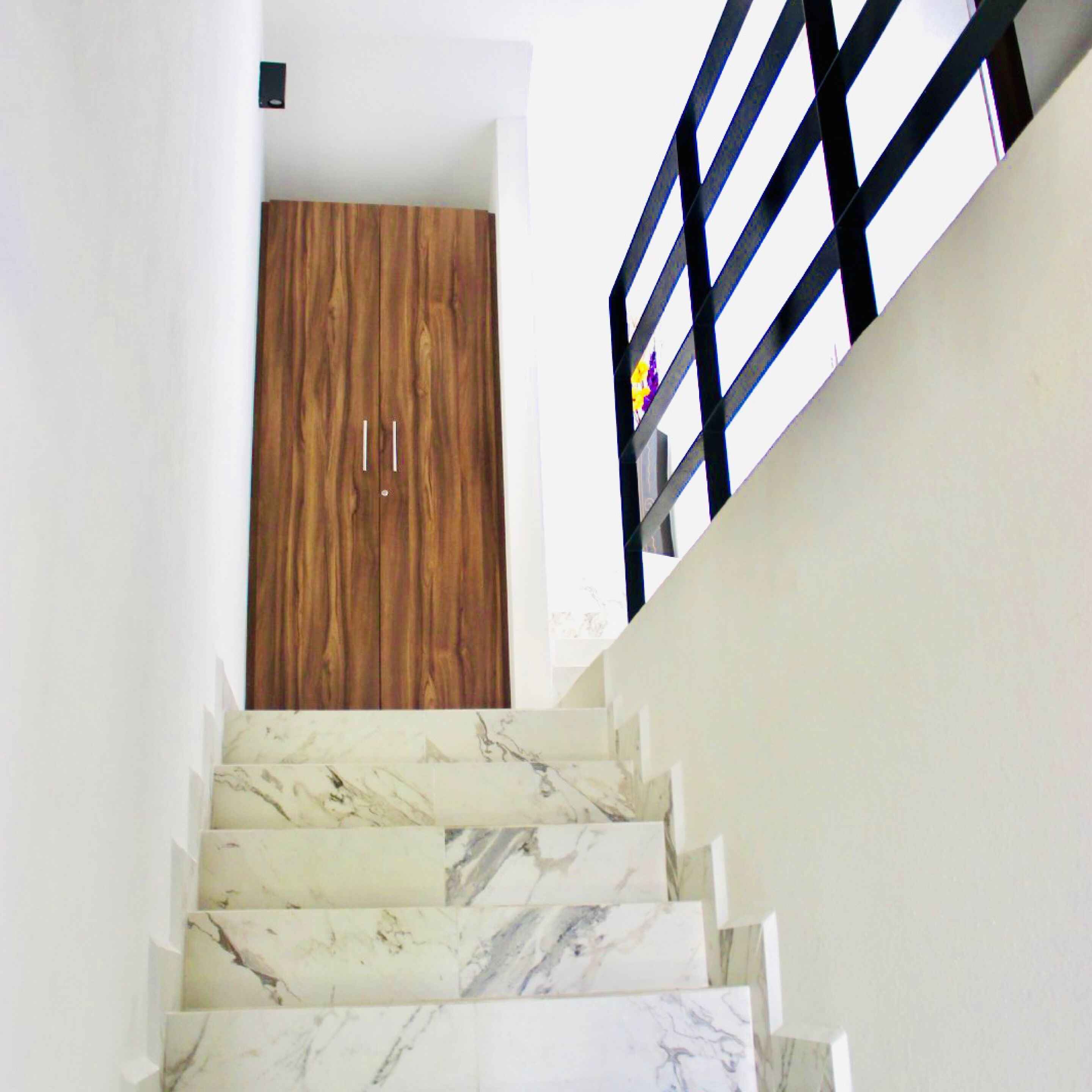 Una escalera con escalones de mármol que conduce a una puerta de madera.