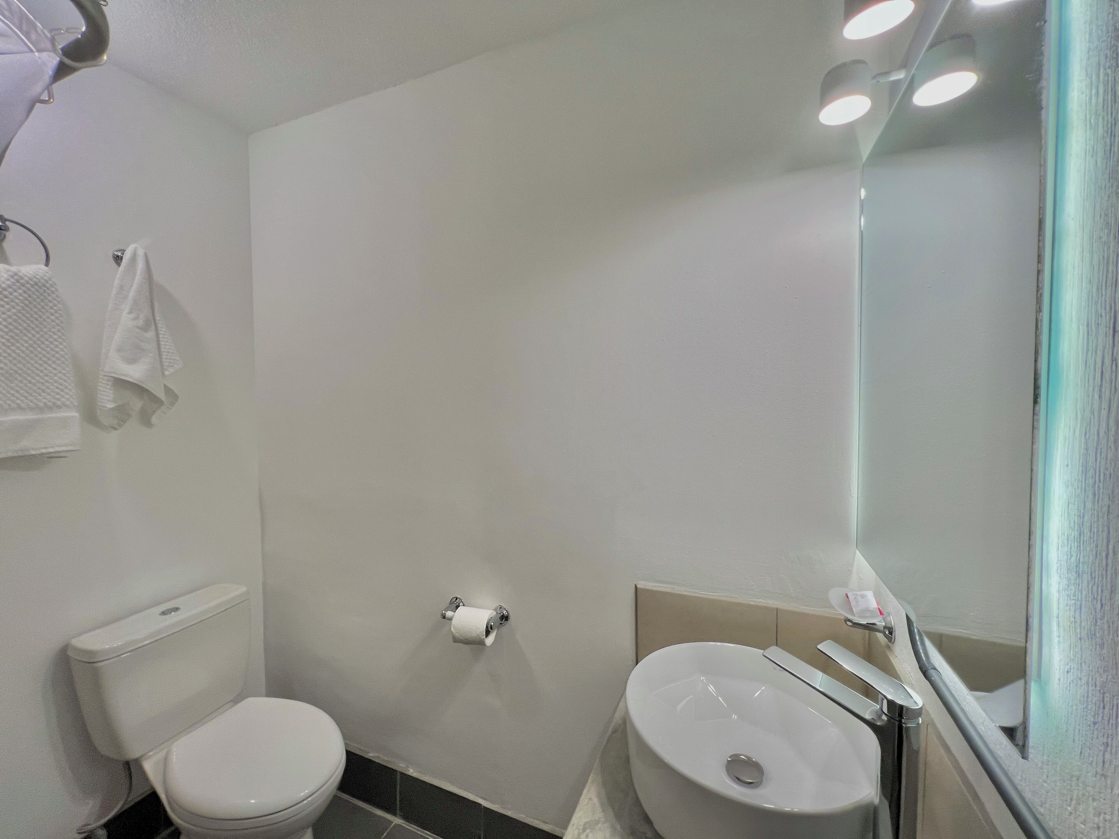 Un bany amb vàter, un lavabo i un mirall.