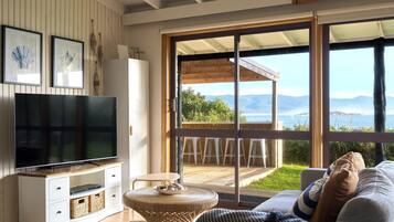 Smart TV, books