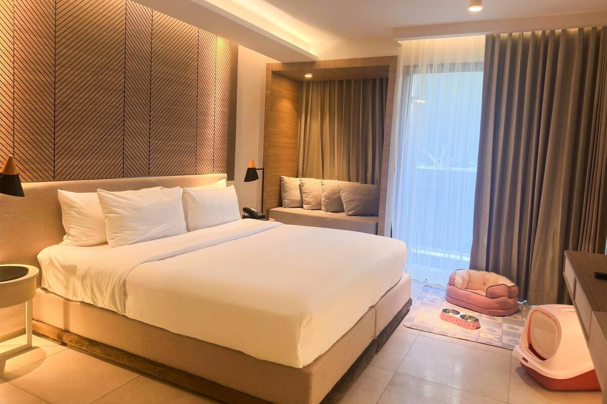 A modern hotel room with a large bed, a sofa, a pet bed, and a view of the outdoors.