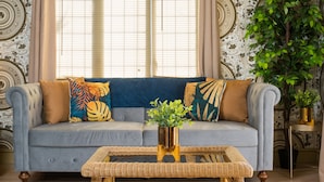 A living room with a sofa, a coffee table, and a potted plant. - Deluxe 2/3 Bed HotTub SkyTV (Saffron Walden)
