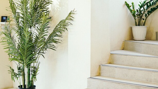 A staircase with a potted plant on the landing and another on the steps. - Travelbee Airport Inn (Lapu-Lapu)