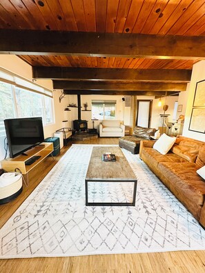 Smart TV, caminetto, impianto stereo, monitor per computer