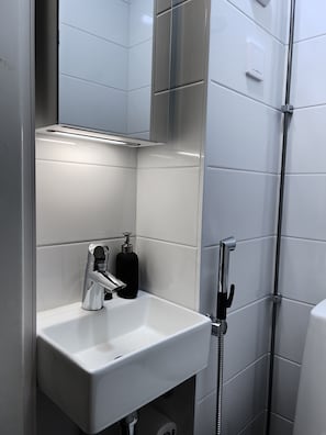 Hair dryer, towels, soap, toilet paper