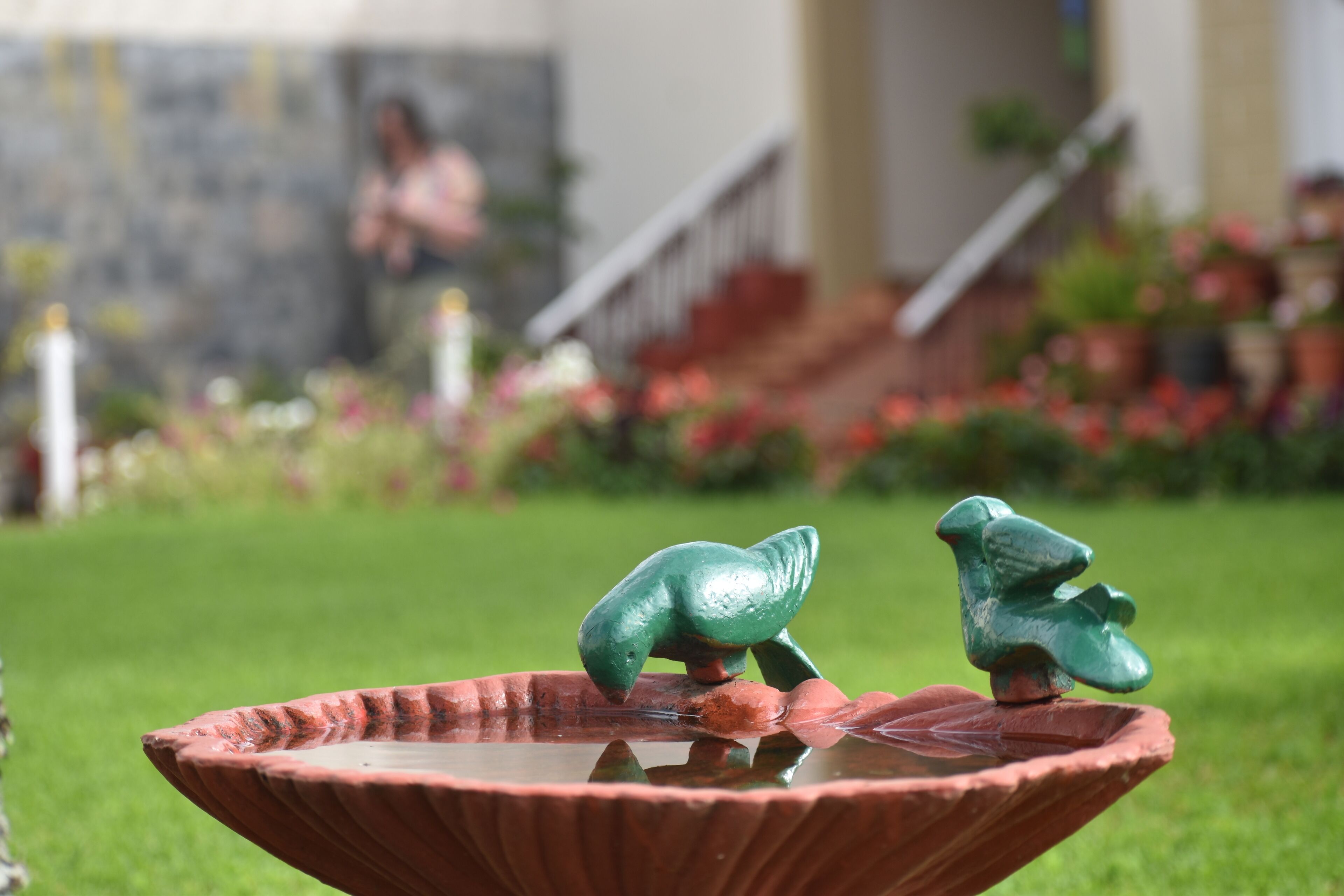 Um bebedouro para pássaros com duas figuras em forma de sapo em um jardim.