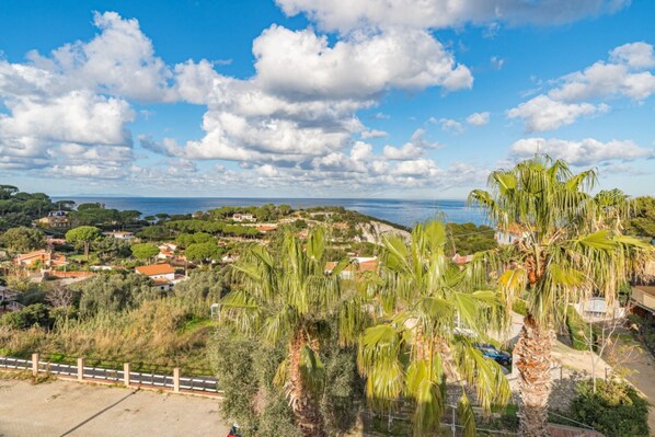 A coastal town with houses, palm trees, and a view of the sea. - RESIDENCE PADULELLA - 2 - RESIDENCE PADULELLA - ATTICO SX (Portoferraio)
