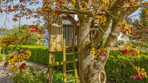 A wooden arbor with a ladder, surrounded by greenery and a hedge. - Room 'Kräutergärtle' with Private Terrace, Shared Garden and Wi-Fi (Immenstaad am Bodensee)