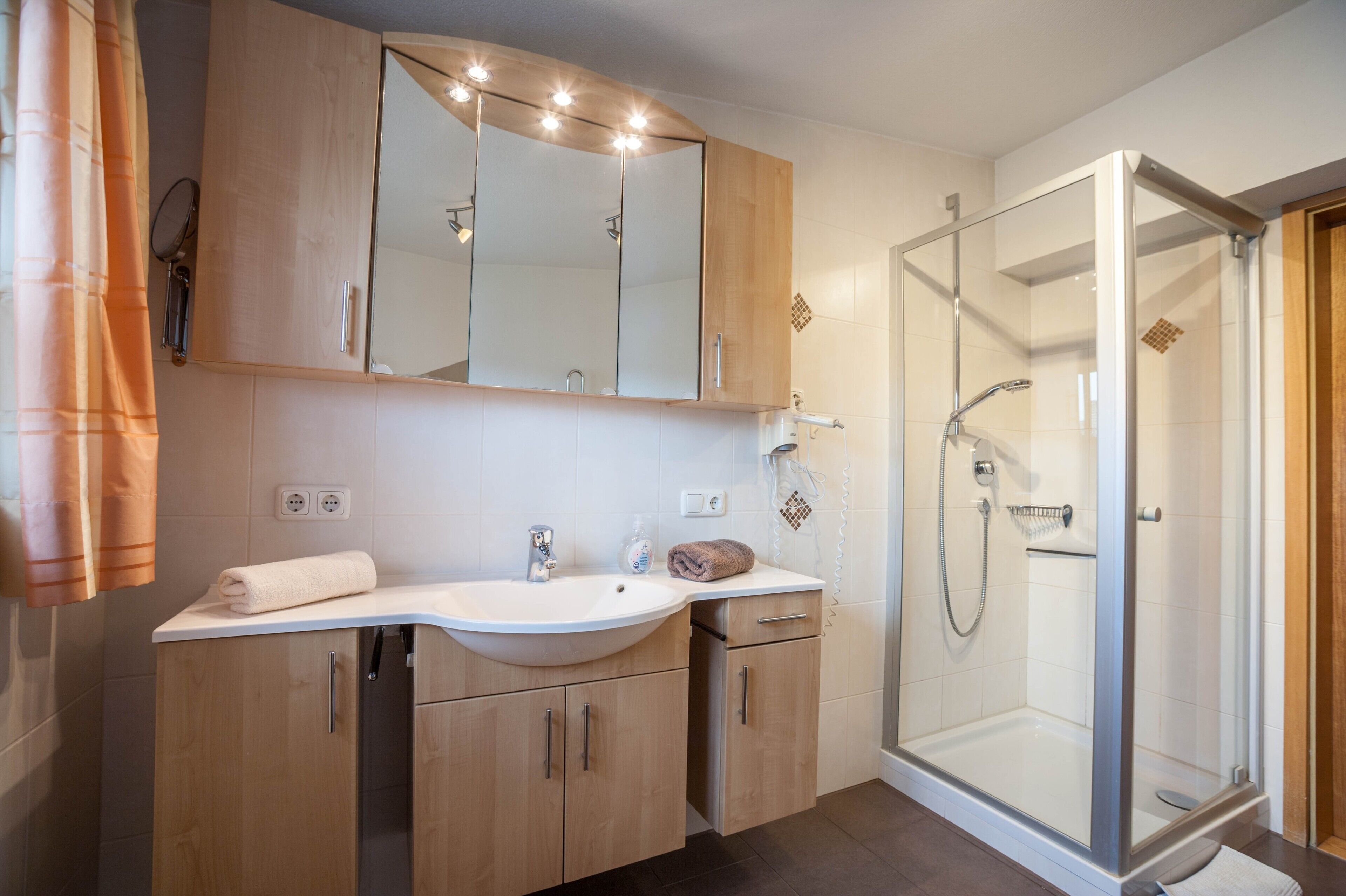Shower, hair dryer, towels