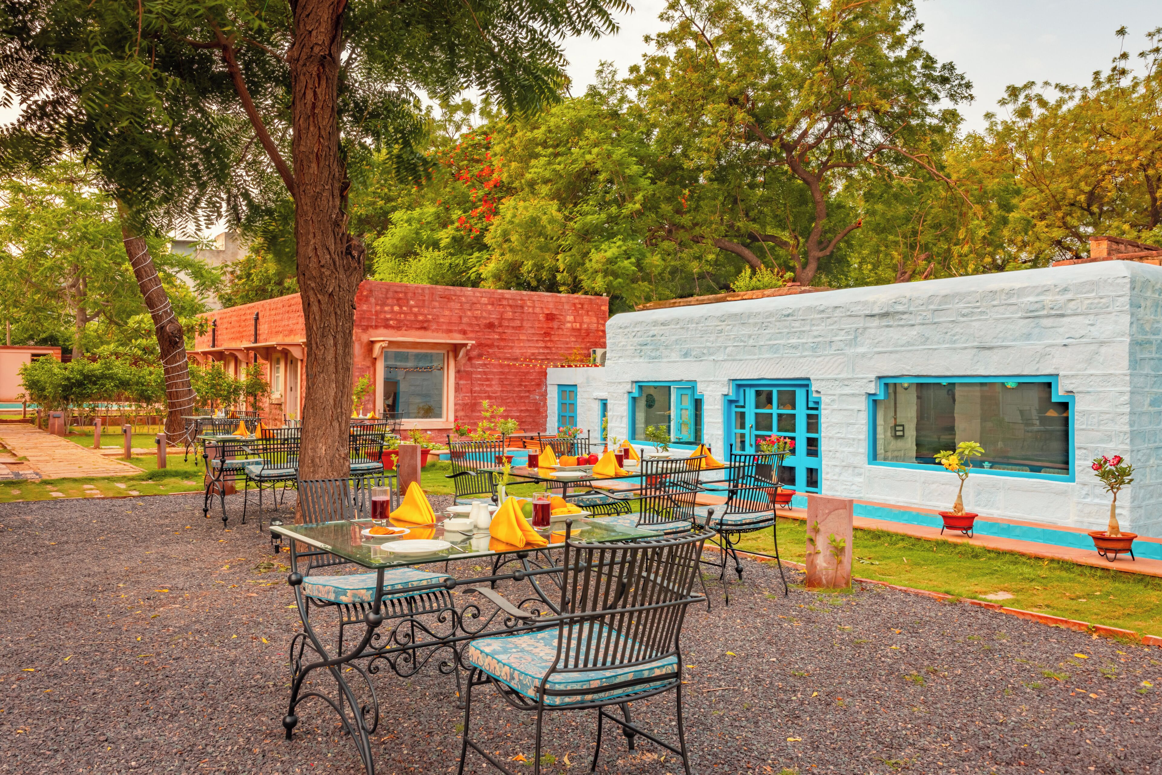 An outdoor seating area with tables and chairs, surrounded by trees and a building with blue windows.
