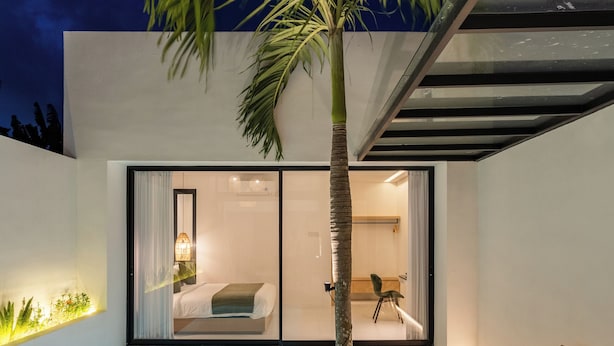 Un área de piscina moderna al aire libre con una palmera, una silla de descanso y un dormitorio con paredes de cristal visible a través de la puerta de vidrio.